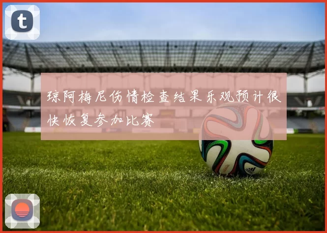琼阿梅尼伤情检查结果乐观预计很快恢复参加比赛