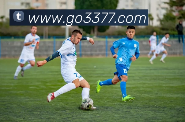 3377体育官网服务体系